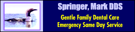 Springer, Mark DDS