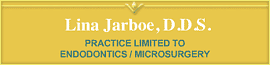 Lina Jarboe DDS