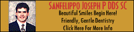 Sanfelippo Joseph P DDS SC