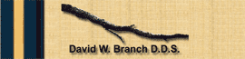 David W. Branch, DDS