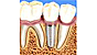 Alan Paradis DDS