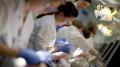 Standards for dental profession put new focus on patients, UK